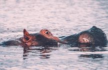 3 Days Shared Safari Tour Tanzania