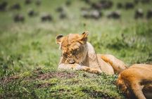 4 Days Tarangire, Serengeti and Ngorongoro Crater Camping Safari 