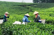 Private Guided Tour: A Spring Day in Dong Giang from Da Nang