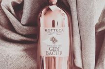 Gin & Rum Tasting in Frankfurt am Main