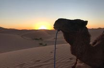 Exclusive Merzouga Desert Safari: Camel Ride, Sandsurf & Dinner