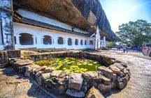Sigiriya Rock Fortress and Cave Temples Day Trip