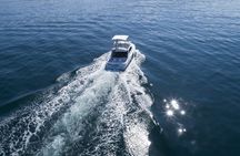 Bertram 38' Convertible Boat in Puerto & Nuevo Vallarta