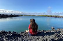 Snorkeling and Fauna Observation at Las Tintoreras Islet
