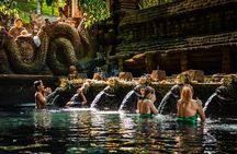 Ubud Tour with Swing, Temple, Monkey Forest, and Waterfall