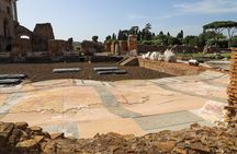 Colosseum & Roman Forum Guided Tour