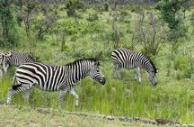 Kruger National Park & Panorama Route From Johannesburg 3 Days & 2 Nights