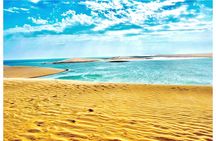  Desert Safari Combo: Camel Ride, Sandboarding & Inland Sea Visit