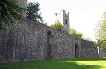 Dublin Private Medieval Walking Tour