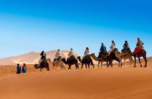 Camel ride in the Merzouga desert from marrakeh