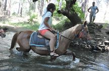 Kusadasi Horse Safari