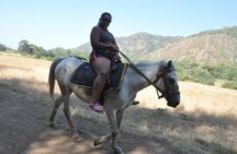 Kusadasi Horse Safari
