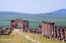 One day trip to Volubilis and meknes from Fes