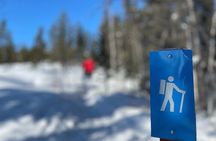 Winter Nature Hike