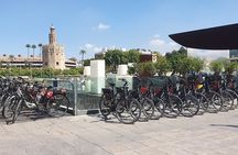 Guided Electric Bicycle Tour of Seville