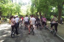 Guided Electric Bicycle Tour of Seville
