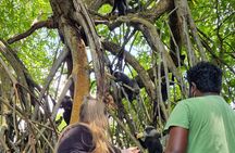 Galle Day Tour via Hikkaduwa Beach 