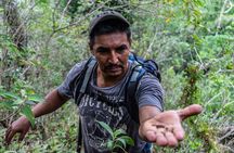 Hidden Waterfall Guided Tour in El Imposible National Park
