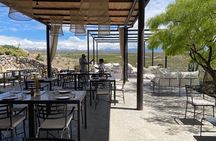 Degustación Pulenta Estate + Almuerzo en Ruda. Transporte privado