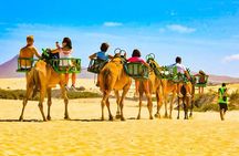 E-Bike City Tour with included Camel Tour inside Maspalomas Dunes