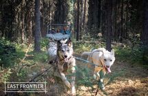 Summer Mushing Cart Ride & Kennel Tour