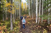 Summer Valley and Forest Hike