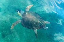 Stand-up Paddleboard Lazareta Experience Chania Crete (tour)