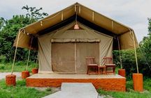 4 Days great of Maasai Mara Lake Nakuru joining safari
