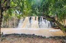 All Inclusive Full Day Tour: Chamarel Rhumrie,7-Coloured & Lunch