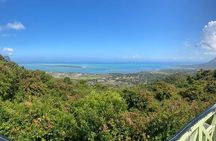 All Inclusive Full Day Tour: Chamarel Rhumrie,7-Coloured & Lunch