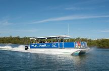 Eco Shelling Cruise to Keewaydin Island