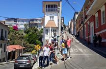 Valparaiso Private Tour with Wine Tasting from Santiago
