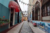 Valparaiso Private Tour with Wine Tasting from Santiago