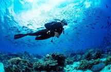  Scuba Diving Adventure in Dubai 