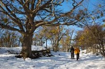 Winter: Tierra del Fuego National Park Trekking and Canoeing in Lapataia Bay