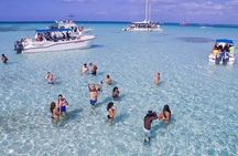 Full day - Saona Island from punta cana 