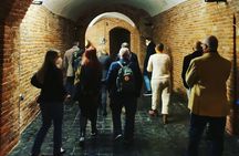 Barolo&Barbaresco wine tour with a local winemaker from Alba