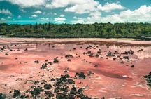 7 Days Tour in Quito and Santa Cruz/Galapagos - Best of Ecuador