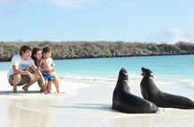 7 Days Tour in Quito and Santa Cruz/Galapagos - Best of Ecuador