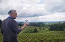 Explore the Wines of Oregon's Willamette Valley