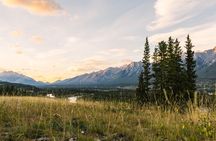 Banff PRIVATE Safari Drive and Custom Nature Walk -4H
