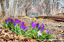 Secrets of the High Line