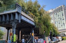 Secrets of the High Line