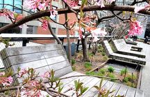 Secrets of the High Line