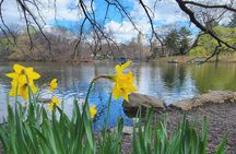 Central Park Secrets And Highlights