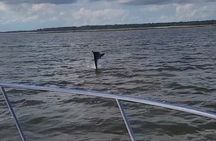Private Dolphin Boat Tour in Hilton Head Island