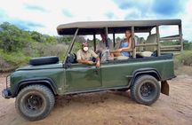 Guided Leopard Safari in Yala National Park in a Land Rover Defender