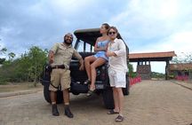 Guided Leopard Safari in Yala National Park in a Land Rover Defender