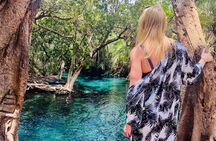 Private Day Trip to Kikuletwa Hot Springs in Kilimanjaro