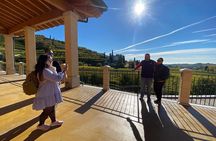 Discover the Amarone wine: 1 winery with delicious food pairing